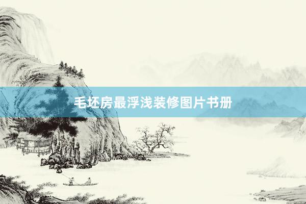 毛坯房最浮浅装修图片书册